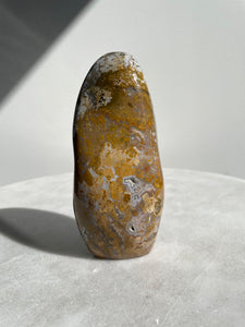 Large Ocean Jasper Free Form OJ506