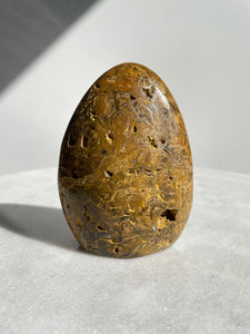 Large Ocean Jasper Free Form OJ509