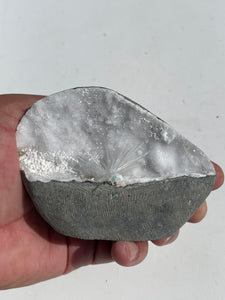 Scolecite Geode Natural Crystal SC032