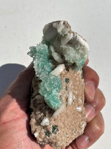 Green Apophyllite Crystal Cluster AP873