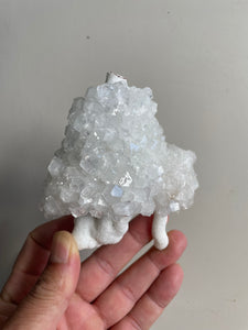 Apophyllite Crystal Cluster AP394a