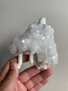 Apophyllite Crystal Cluster AP394a