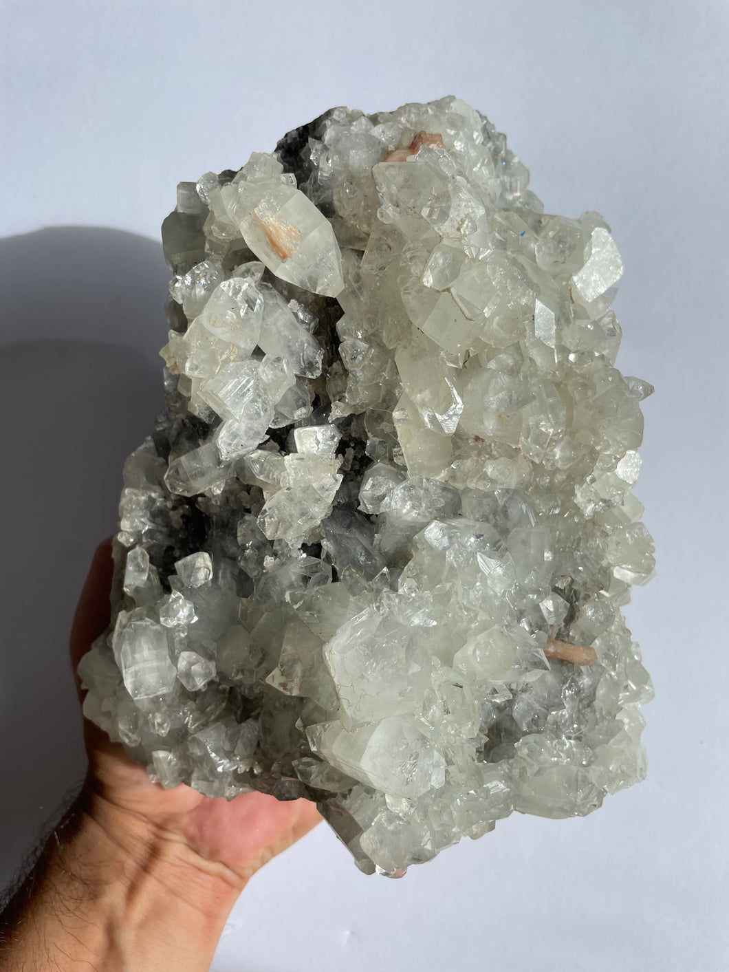 Apophyllite Large Cluster Crystal AP021.