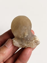 Load image into Gallery viewer, Botryoidal Fluorite Rare Crystal F011
