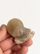 Load image into Gallery viewer, Botryoidal Fluorite Rare Crystal F011
