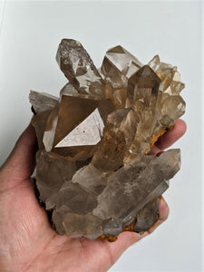 Smokey Cathedral Quartz Crystal Natural Q141