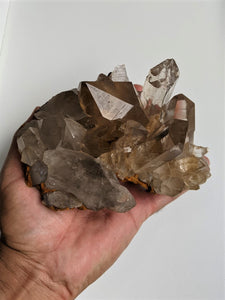 Smokey Cathedral Quartz Crystal Natural Q141