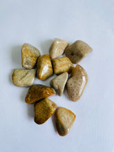 Load image into Gallery viewer, Agatised Coral Tumbled Stones TB038 x 1
