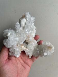 Apophyllite Crystal Cluster AP393a