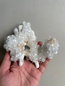 Apophyllite Crystal Cluster AP393a