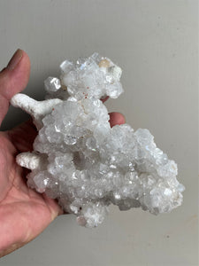 Apophyllite Crystal Cluster AP393a