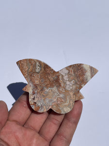 Pink Crazy Lace Agate Butterfly AG163