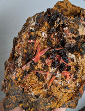 Load image into Gallery viewer, Crocoite Natural Crystal Cluster, Tasmania, Australia 120x85mm - Crystal King Australia
