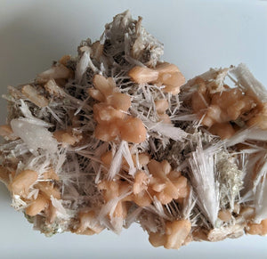 Scolecite spray with stilbite Rare Crystal/Mineral Specimen (290x210mm) 2.95kg - Crystal King Australia