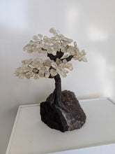 Load image into Gallery viewer, Quartz Gem Tree/Crystal Tree (xL) 240 crystals| 350x300mm - Crystal King Australia
