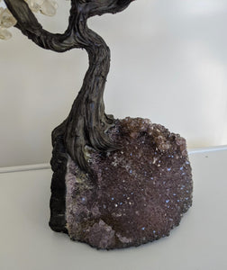 Quartz Gem Tree/Crystal Tree (xL) 240 crystals| 350x300mm - Crystal King Australia