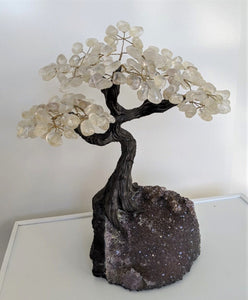 Quartz Gem Tree/Crystal Tree (xL) 240 crystals| 350x300mm - Crystal King Australia