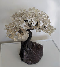 Load image into Gallery viewer, Quartz Gem Tree/Crystal Tree (xL) 240 crystals| 350x300mm - Crystal King Australia
