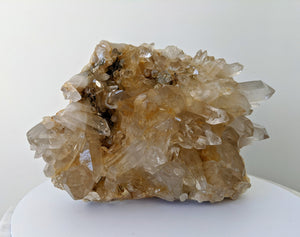 RARE Extra Large Golden Healer Himalayan Quartz Cluster Crystal 350x220mm - Crystal King Australia