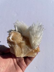 Scolecite Spray Natural Crystal Cluster SC068