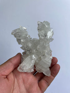 Stalactite Apophyllite cluster pointed DT Crystal AP982