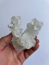 Load image into Gallery viewer, Stalactite Apophyllite cluster pointed DT Crystal AP982
