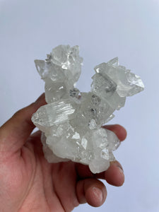 Stalactite Apophyllite cluster pointed DT Crystal AP982
